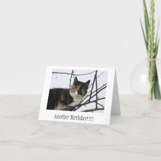 Tarjeta de cumpleaños del Ronroneo-fect