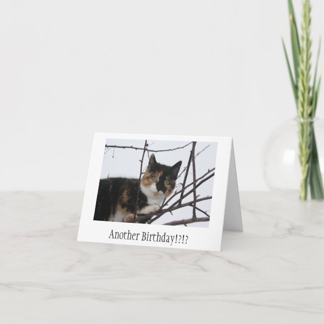 Tarjeta de cumpleaños del Ronroneo-fect (Anverso)