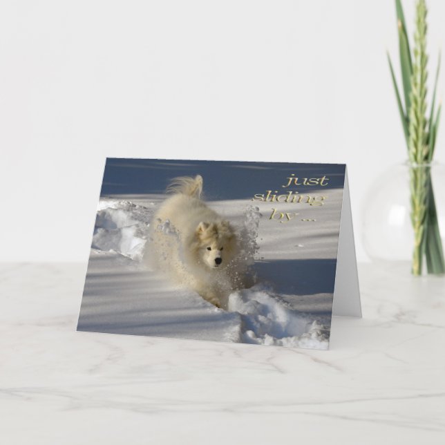 Tarjeta de cumpleaños del Snowplow (Anverso)