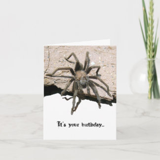 Tarjeta de cumpleaños del Tarantula