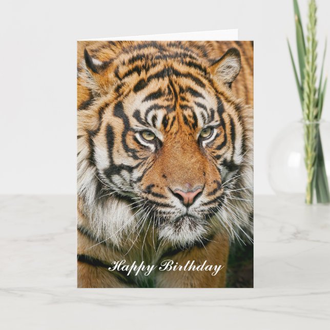 Tarjeta de cumpleaños del tigre (Anverso)
