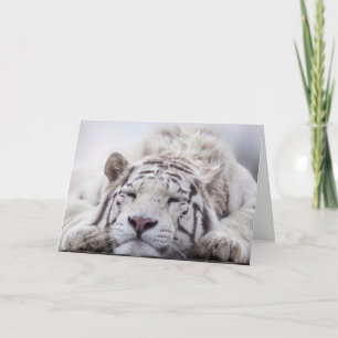 TARJETA DE CUMPLEAÑOS DEL TIGRE BLANCO RELAJANDOSE