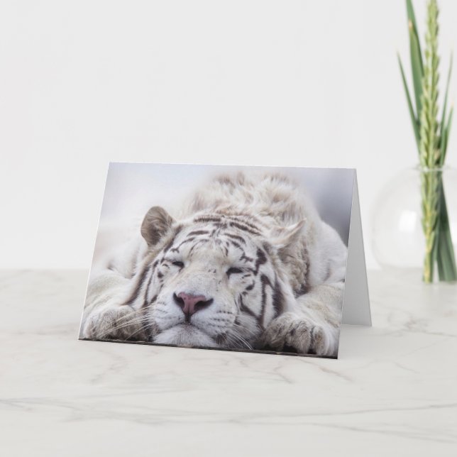 TARJETA DE CUMPLEAÑOS DEL TIGRE BLANCO RELAJANDOSE (Anverso)