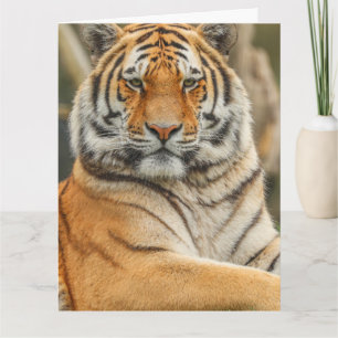 TARJETA DE CUMPLEAÑOS DEL TIGRE DE BENGALA