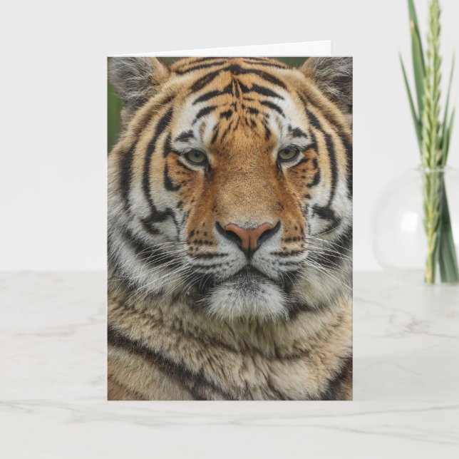 TARJETA DE CUMPLEAÑOS DEL TIGRE DE BENGALA (Anverso)