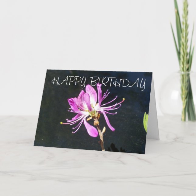 Tarjeta de cumpleaños del Wildflower de Lambskill (Anverso)