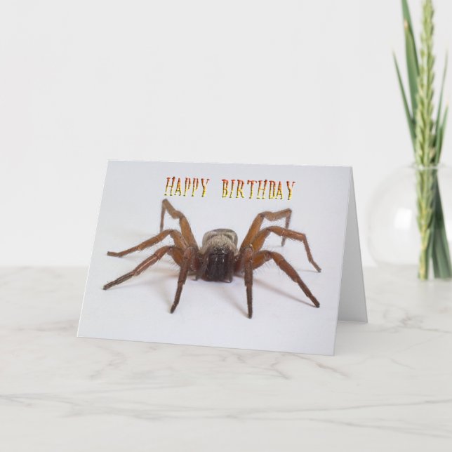 Tarjeta de cumpleaños divertida (Anverso)