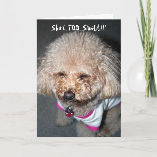 Tarjeta de cumpleaños divertida (Anverso)