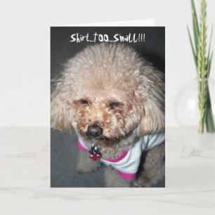 Tarjeta de cumpleaños divertida