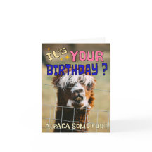 Tarjeta de cumpleaños divertida Alpaca - Humor de 