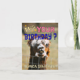 Tarjeta de cumpleaños divertida Alpaca - Humor de 