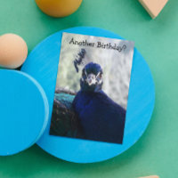 Tarjeta de cumpleaños divertida Blue Peacock Photo