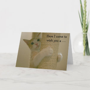 Tarjeta de cumpleaños divertida con el gato que