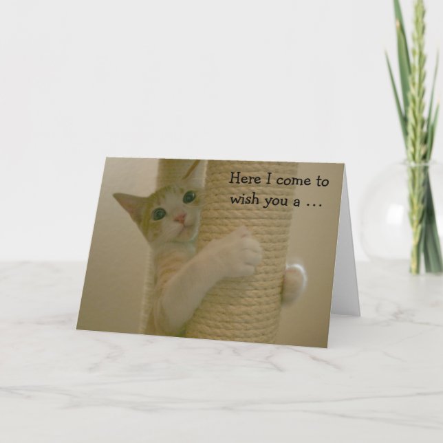 Tarjeta de cumpleaños divertida con el gato que (Anverso)