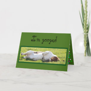 Tarjeta de cumpleaños divertida con hebilla de Bas