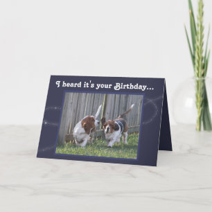 Tarjeta de cumpleaños divertida con límites y glob