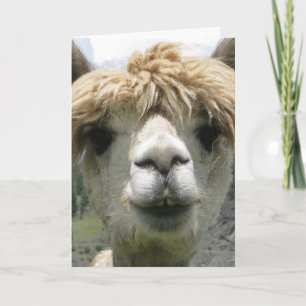 TARJETA DE CUMPLEAÑOS DIVERTIDA DE ALPACA