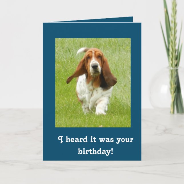 Tarjeta de cumpleaños divertida de Basset Hound (Anverso)