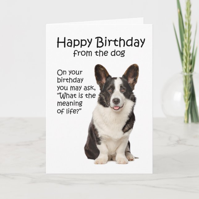 Tarjeta de cumpleaños divertida de Corgi (Anverso)