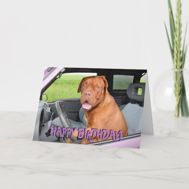 Tarjeta de cumpleaños divertida de dogue de (Anverso)