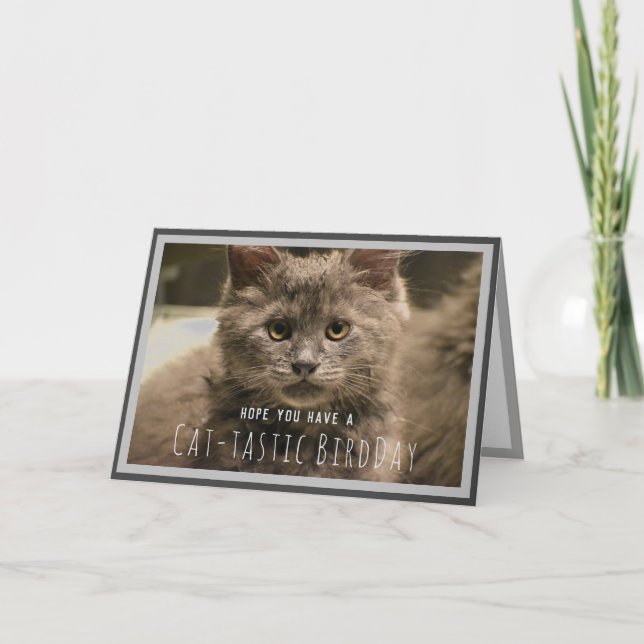Tarjeta de cumpleaños divertida de gatito gris súp (Anverso)