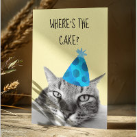 Tarjeta de cumpleaños divertida de gato ¿Dónde est