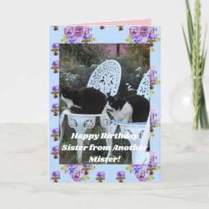 Tarjeta de cumpleaños divertida de gato esmoquin h