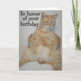 Tarjeta de cumpleaños divertida de gato Manx gordo