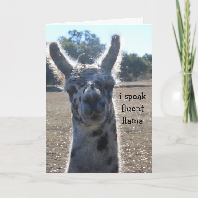 Tarjeta de cumpleaños divertida de la llama, hablo (Anverso)
