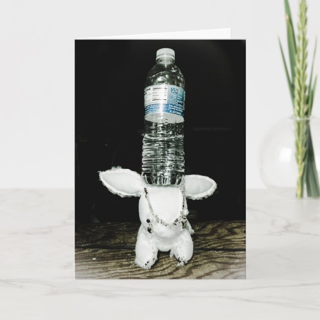 Tarjeta de cumpleaños divertida del conejo. Sea (Anverso)