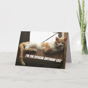 Tarjeta de cumpleaños divertida del gato