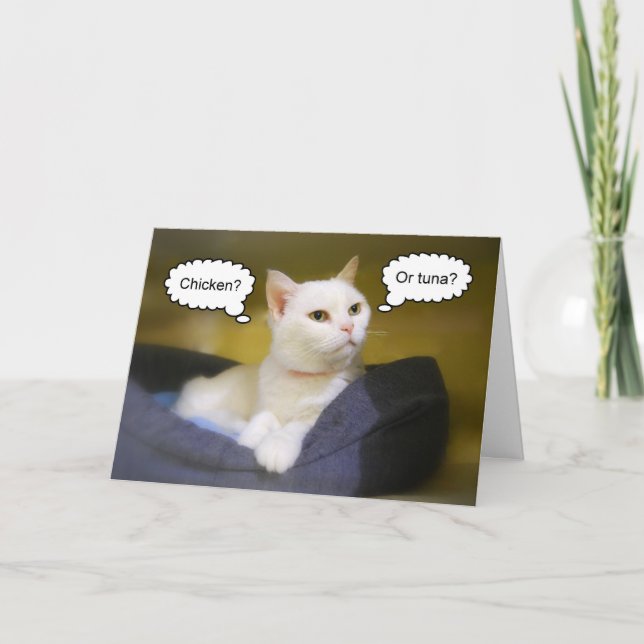 Tarjeta de cumpleaños divertida del gato blanco (Anverso)