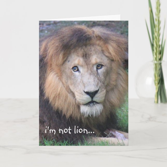 Tarjeta de cumpleaños divertida del león (Anverso)