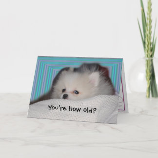 Tarjeta de cumpleaños divertida del perrito