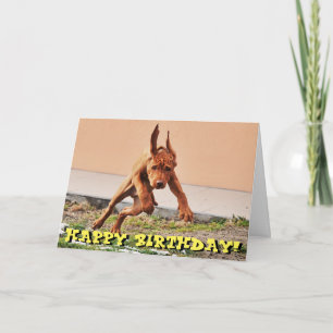 Tarjeta de cumpleaños divertida del perrito del