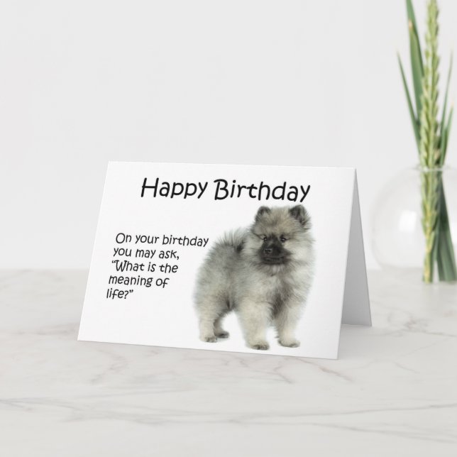 Tarjeta de cumpleaños divertida del perrito del (Anverso)