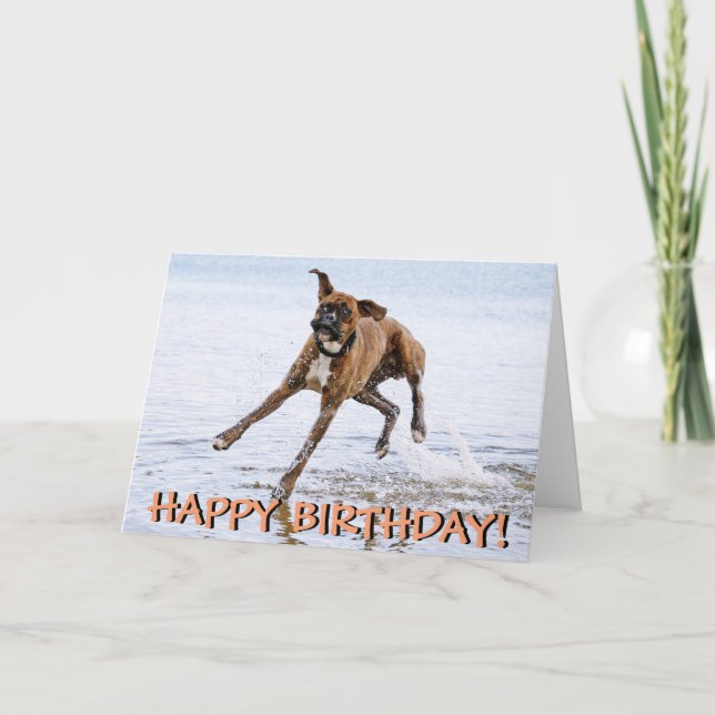 Tarjeta de cumpleaños divertida del perro del (Anverso)
