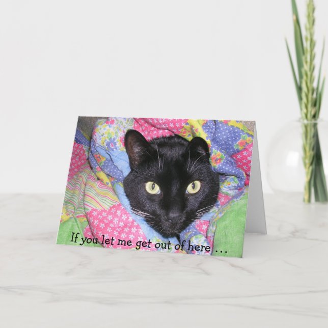 Tarjeta de cumpleaños divertida: gato negro envuel (Anverso)