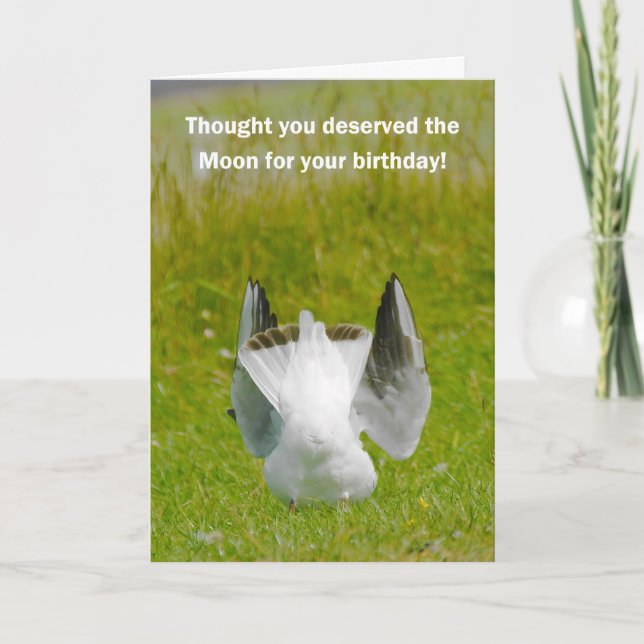 Tarjeta de cumpleaños divertida - Gaviota de luna (Anverso)