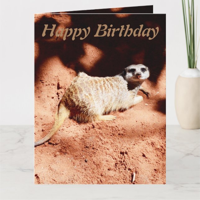 Tarjeta de cumpleaños divertida Meerkat Jumbo, (Anverso)
