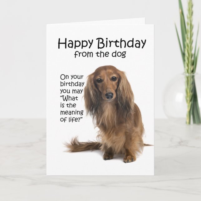 Tarjeta de cumpleaños divertida para Dachshund (Anverso)