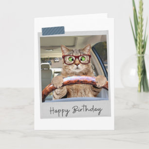 Tarjeta de cumpleaños divertida para el gato
