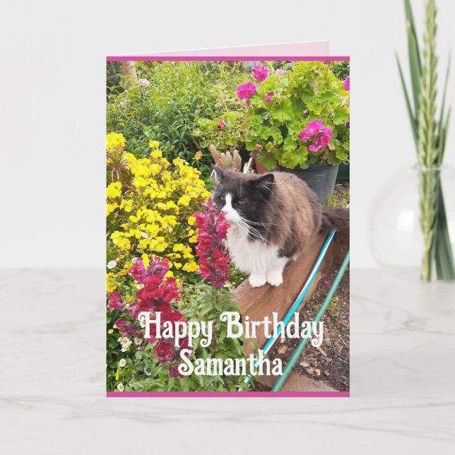Tarjeta de cumpleaños divertida para el gato de Tu (Anverso)