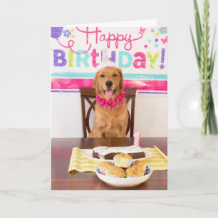 Tarjeta de cumpleaños divertida para perros