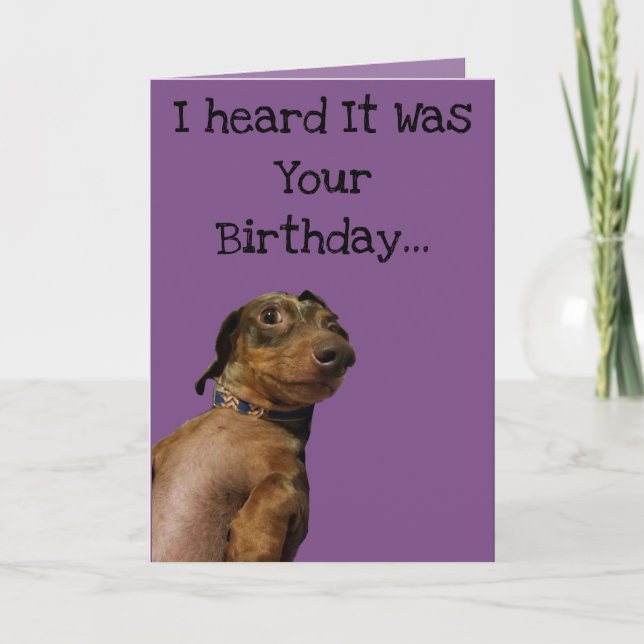 Tarjeta de cumpleaños divertida para perros (Anverso)
