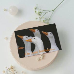 Tarjeta de cumpleaños divertida para White Ducks