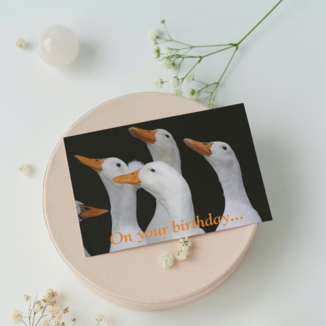 Tarjeta de cumpleaños divertida para White Ducks (In Situ)