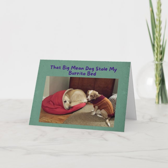 Tarjeta de cumpleaños divertida perro grande en la (Anverso)