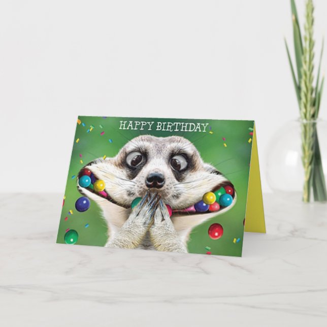 Tarjeta de cumpleaños divertida - Suricata (Anverso)