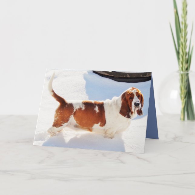 Tarjeta de cumpleaños divertida w/Beautiful Basset (Anverso)